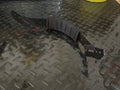 Cairns Stock Ratchet Assembly